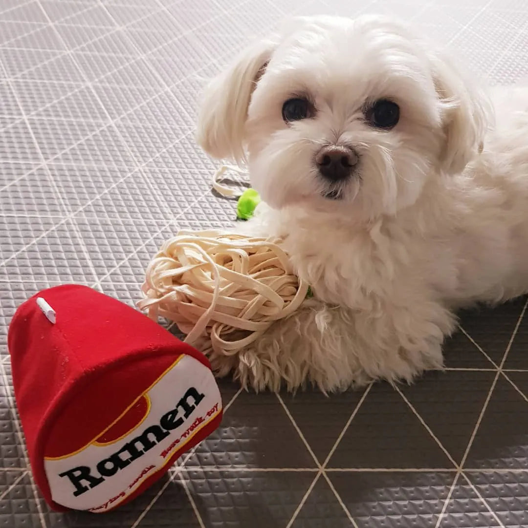 PfotenNudel Interaktives Ramen-Schnüffelspielzeug